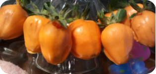 Chocolate Covered Strawberries